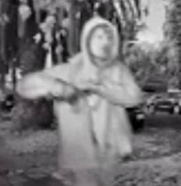 Surveillance footage, shared by Ricco Ross, showed a man in a light-colored hoodie stopping near a tree and appearing to throw something before calmly walking away. As he walked away, sparks can be seen flying off the tree onto the ground