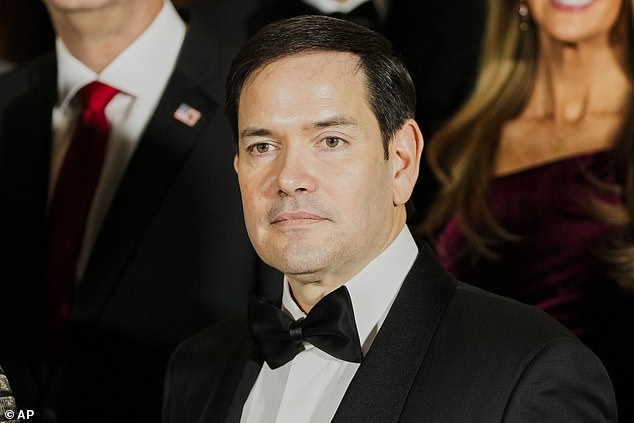 Marco Rubio, the nominee for Secretary of State, attends The Vice President's Dinner