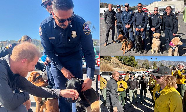 Prince Harry poses for pictures with LA fire department and therapy dogs - after Sussexes