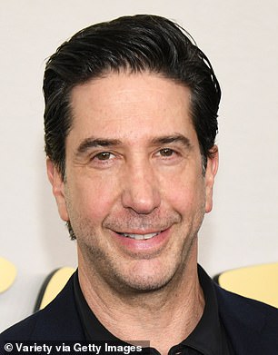 Actor David Schwimmer