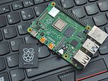 Slowdown: Computer platform maker Raspberry Pi expects to report 2024 adjusted earnings of not less than £29m – a 17% drop from the £35m reported a year earlier