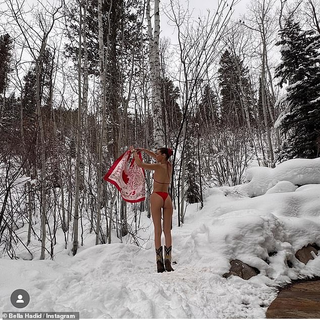 Bella, who noted in the caption that the images were taken on January 1st, struck poses in the racy look while in a snowy landscape