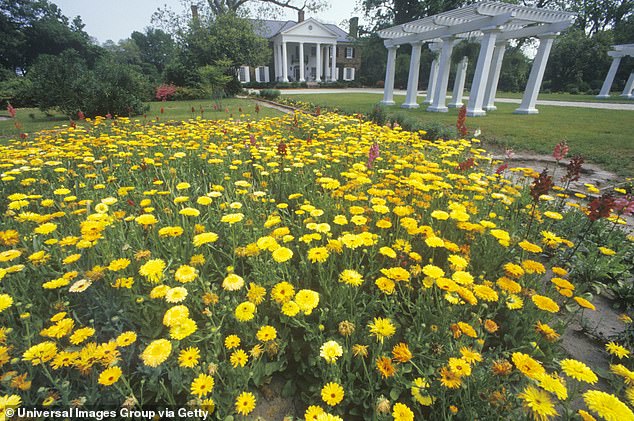 On the official website, Boone Hall Plantation acknowledges that slavery 'is an important topic that must be discussed openly and honestly whenever plantation life is addressed'