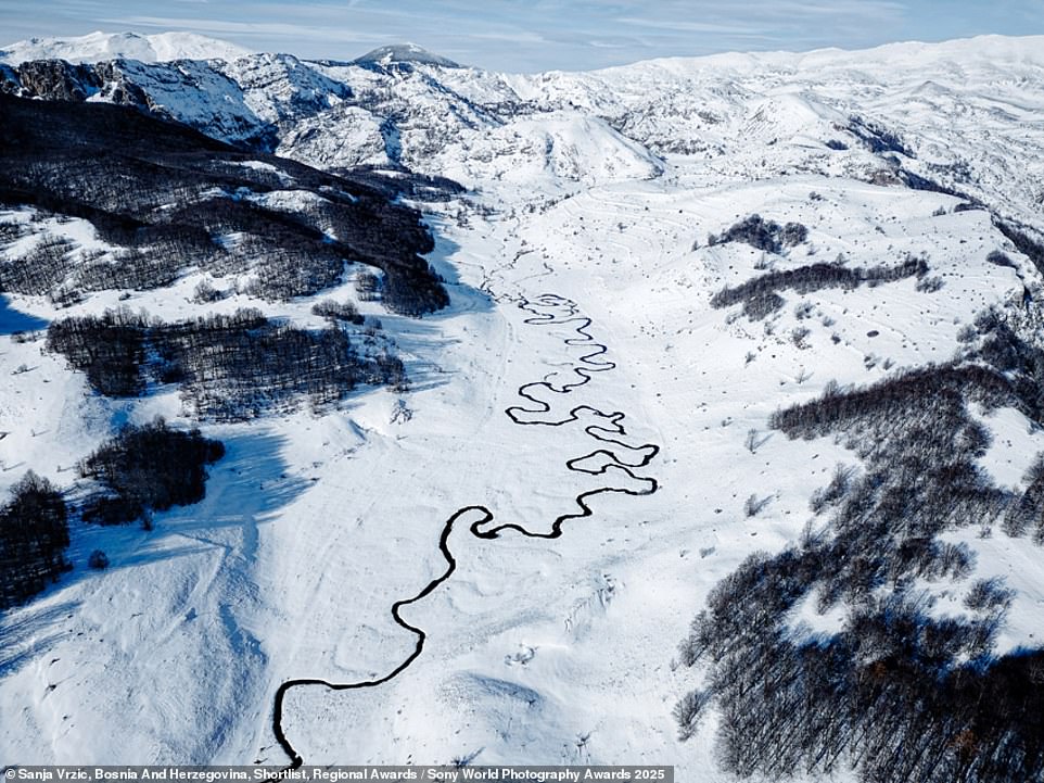 Named '(In)visible Path', this enchanting image of Studeni Potok ['stream'] valley in Bosnia & Herzegovina was taken by Sanja Vrzić and depicts the 'intricate path' of a mountain stream through the 'first snow of the year'. The stream becomes 'completely invisible' when it freezes 'later in the winter'. Legend says the stream was created by the 'movement of an ancient snake-like beast'