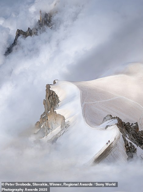 Peter Svoboda, a Slovakian photographer, wins the Czech Republic, Slovakia, Hungary, Romania & Moldova regional award with this amazing image of 'coloured snow' in the French Alps. The phenomenon occurred in summer 2024 and was caused by 'winds blowing sand from the Sahara desert to the mountains'