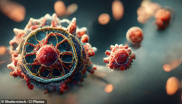 Henipaviruses, like Nipah and Hendra, use the G protein to attach to host cell receptors and the F protein to merge their membrane with the host cell, allowing the virus to enter and multiply