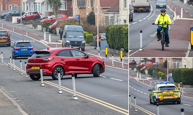 Fury over 2ft tall posts that stop people parking in their drives and force emergency and