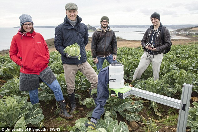 The automated farmer is fitted with cameras and sensors in its fingers to asses crop growth. It processes this information to determine if the plant is ready for harvest or should be left