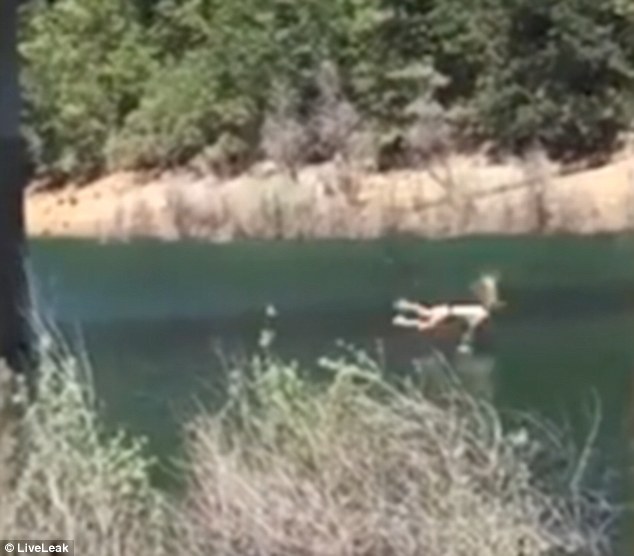 A different angle of the video shows the girl slamming into the water on her stomach