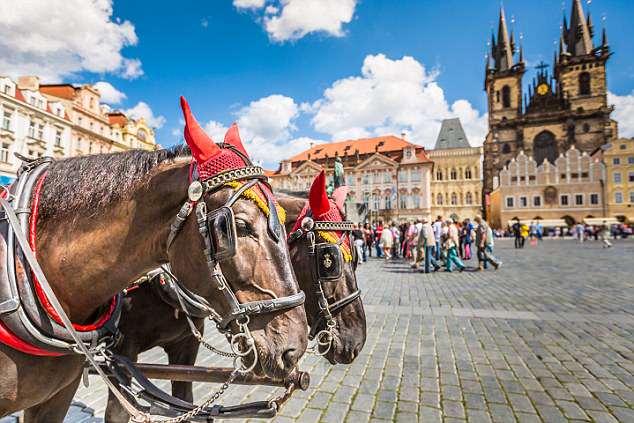 Create unforgettable memories with a horse and carriage through the city