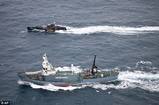 Protest: The vessels run side by side as Sea Shepherd activists attempt to disrupt the annual Japanese whaling mission