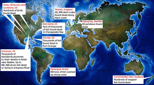 Apocalypse how? Locator map showing dead wildlife in USA, New Zealand, Sweden, England and Brazil