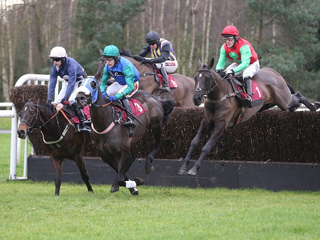 Cruise control: Tony McCoy never had a moment's worry on Taquin Du Seuil (right)