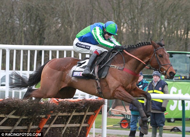 Zamdy's the man: Aidan Coleman's mount flies over the last flight to complet a hat-trick of wins