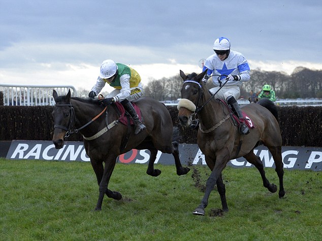 Tough rival: Vintage Star (left) proved a gallant runner-up to Wychwoods Brook