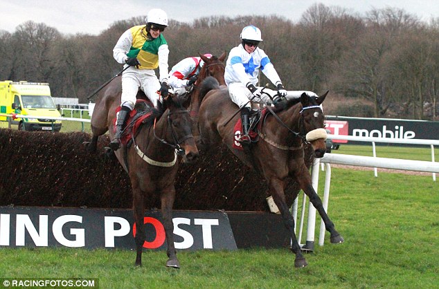 Over the last: Wychwood Brook (right) gets over the last before edging clear in the Peter Marsh