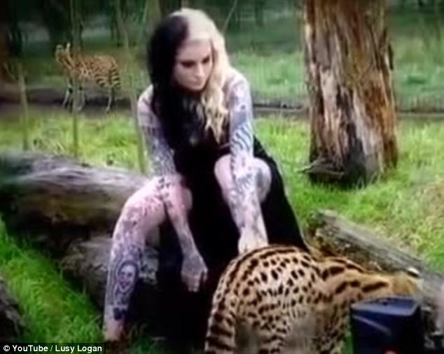 Publicity: A provocatively dressed Miss Logan poses with the cats in a video set to slow-motion electronic music that was posted to her YouTube Channel with a comment calling for fans to donate to animal charities