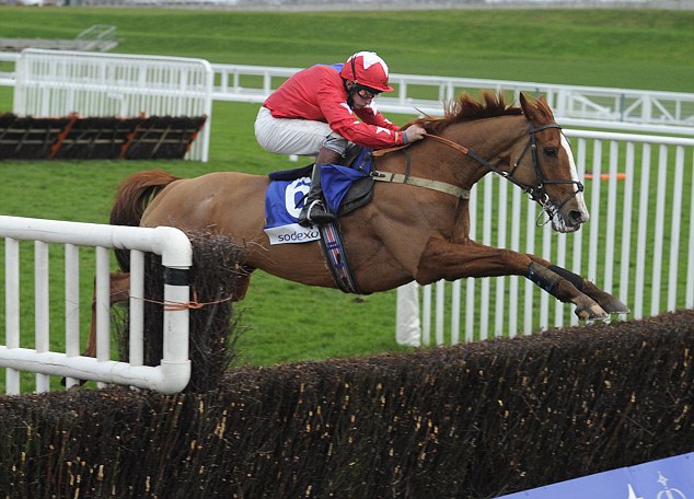 Sire De Grugy soars over the birch en route to his fourth win of the season