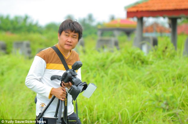 Mr Sauw spent weeks monitoring the insects and positioning himself to capture their glowing detail