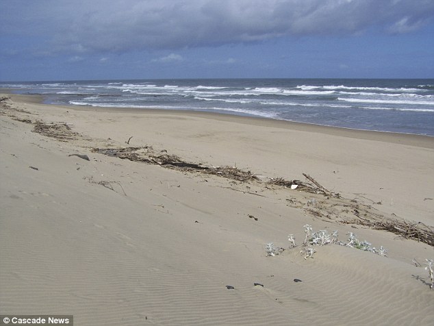 Controversial idea: John has identified this three-mile strip of beach in KwaZulu-Natal for his nudist plans