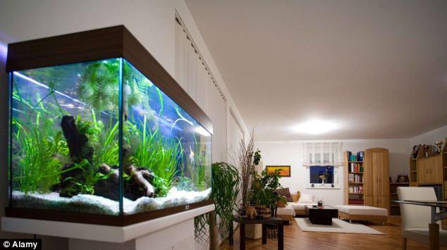 One customer was refused fish for his aquarium as it was too small