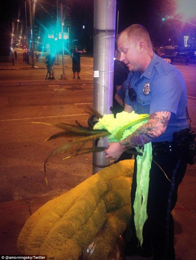 Clean up: A Missouri police officer picks up the vintage headdress and feathered cape