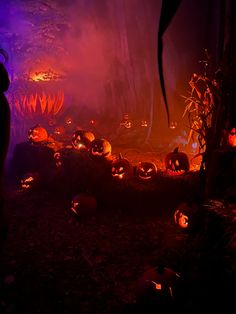 a group of pumpkins lit up in the dark with purple and orange light behind them