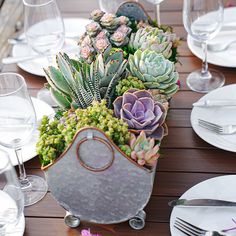 an arrangement of succulents and other plants sits on a table with white plates