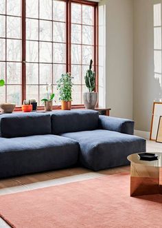 a living room filled with furniture and lots of window sill space next to a blue couch