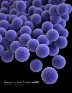 an image of some purple balls on a black background with the words vannacmyn - resistant epithroce vm