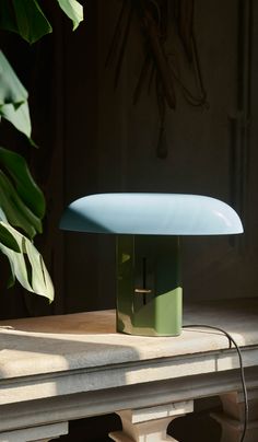 a blue and green table lamp sitting on top of a wooden table next to a plant