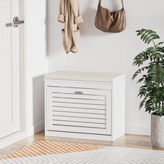 a coat rack with two coats hanging on it next to a potted plant and door