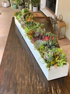 a wooden table topped with succulents and plants