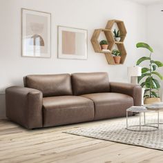 a living room with a couch, coffee table and potted plants on the wall