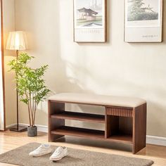 a living room scene with focus on the shoe rack and plant in the foreground