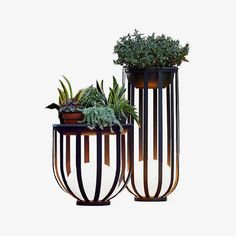 two planters with plants in them sitting next to each other