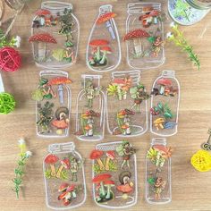 several glass jars filled with plants and mushrooms on top of a wooden table next to other items