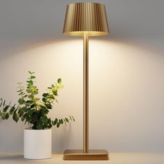 a lamp that is next to a potted plant