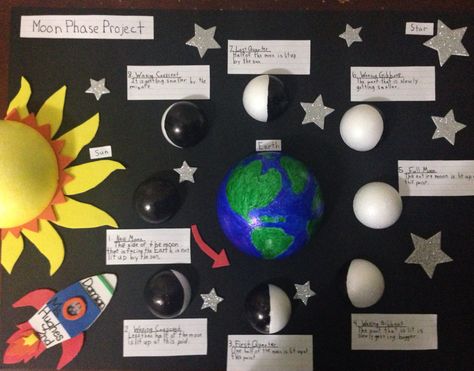 moon phases project Moon Phases Science Fair Project, Phases Of The Moon Bulletin Board, Science Fair Space Projects, Moon Phase School Projects, Moon Cycle Project, Moon Phases Poster Project, Phases Of The Moon Science Project, Lunar Cycle Project, Moon Phases Project Ideas