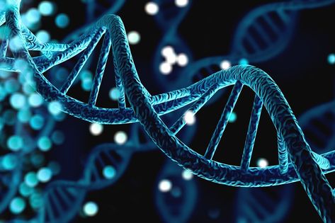 Recombinant Dna, Dna Technology, Human Liver, Genetic Variation, Human Genome, Human Dna, Early Humans, Genetic Mutation, Genetic Disorders