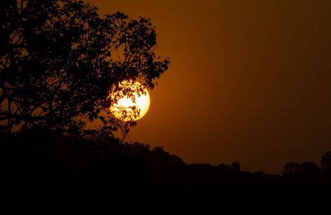 full moon covered with tree photo – Free Nature Image on Unsplash Nature, Moon Cover Photo Aesthetic, Lanscape Photoshoot Aesthetic, Moon Cover Photo, Dan Snow, Aesthetic Moon, Photoshoot Aesthetic, Free Nature, Tree Photo