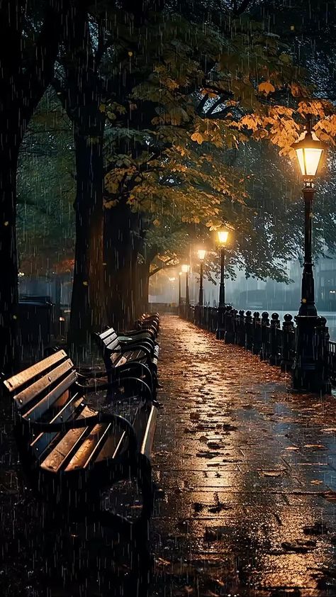 Nature, Natural Curls, Park Benches, Natural Hair Bride, Natural Playground, Natural Glam, Natural Hair Updo, In The Rain, Natural Hair Care