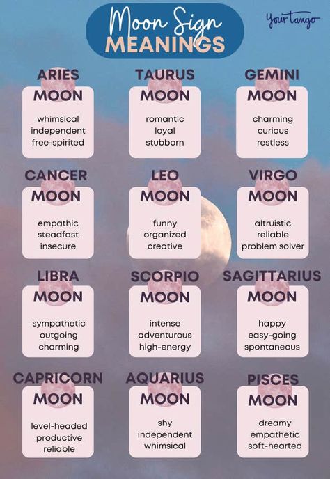 The 12 Moon Signs: Meanings And Effects Explained | YourTango Zodiac Signs Personality Traits, Moon Zodiac Signs, Zodiac Sign Meanings, Zodiac Signs Personality, Libra Moon Sign, Moon Sign Meaning, Virgo Moon Sign, Moon Sagittarius, Scorpio Moon Sign