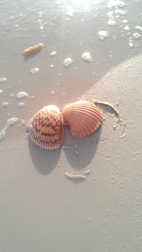 Do you plan on doing some Sanibel-Captiva shelling this weekend?  We'll meet you there at sunrise. www.tween-waters.com At The Beach, The Sand, The Beach