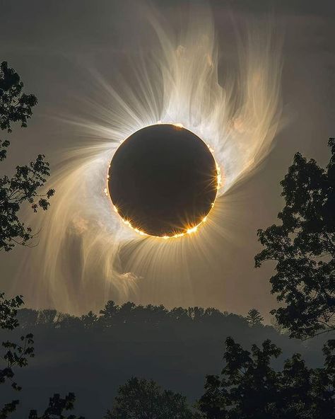 Total solar eclipse April 2024 Solar Eclipse, Nature, Solar Eclipses, Moon Eclipse, Moon Photos, Solar Flare, Total Solar Eclipse, Total Eclipse, Space And Astronomy