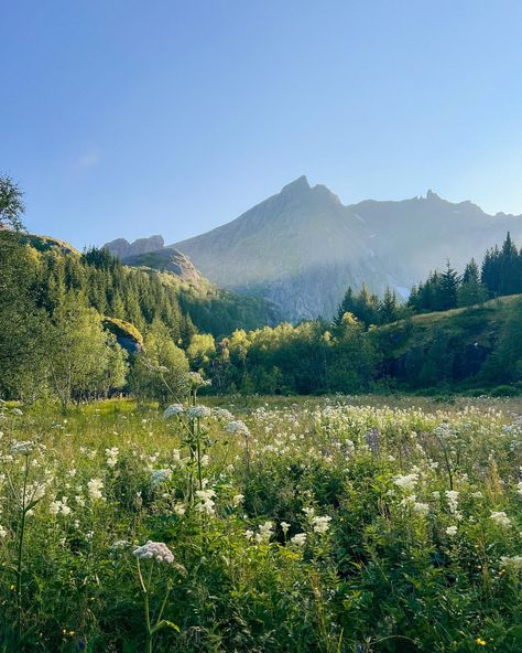 Lofoten, Aesthetic Mountain Pictures, Summer Story Ideas, Life In Paradise, Pretty Landscapes, A Fairy Tale, Gods Creation, Empowering Women, Nature Aesthetic