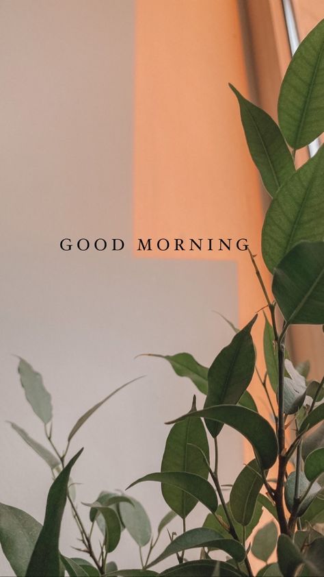 Good Morning Aesthetic Pictures, Morning Aesthetic Sun, Good Morning Asthetic Picture Quotes, Green Morning Aesthetic, Sunday Morning Aesthetic Instagram, Good Morning Astethic, Good Morning Wallpaper Aesthetic, Aesthetic Pictures Morning, Good Morning Post Instagram