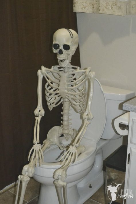 30 HILARIOUS "Elf on the Shelf" Ideas for your Halloween skeleton - Uplifting Mayhem Skeleton Pics, Silly Skeleton, Mr Bones, Animiertes Gif, 밈 유머, Conference Call, Halloween 20, Funny Skeleton, Skeleton Art