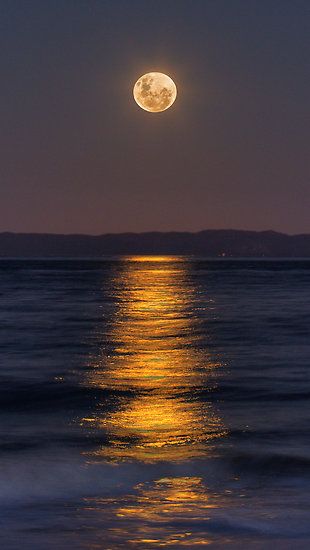 ~~Reflections of a Perigee Moon ~ Super Moon, Burpengary, Australia by Steve Bass~~ Moon Reading, Shoot The Moon, Moon Photos, Moon Pictures, Moon Photography, Super Moon, Moon Lovers, The Full Moon, Beautiful Moon