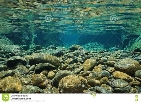 Photo about Rocks underwater on riverbed with clear freshwater, Dumbea river, Grande Terre, New Caledonia. Image of blue, caledonia, freshwater - 82140586 Nature, Underwater Rocks, Underwater River, Underwater Wallpaper, Props Design, Under The Water, River Painting, Piscina Natural, River Bed